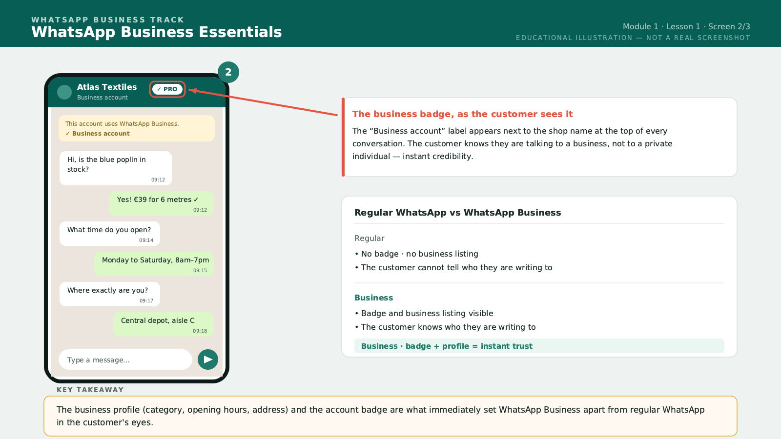 The professional account badge displayed next to the name in a conversation.